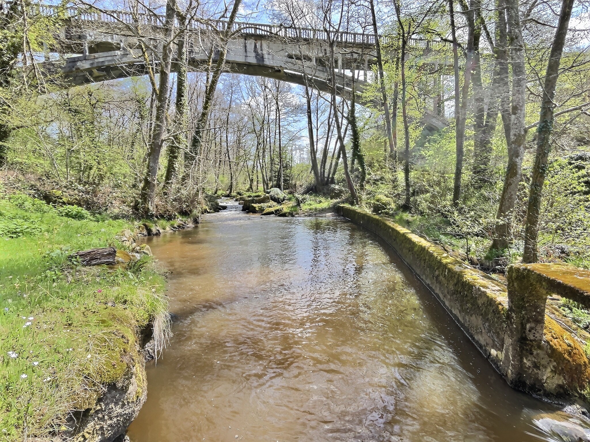 Le Moulin de Lascaux - Camping Accueil Paysan, Saint-Georges-Nigremont - photo 3