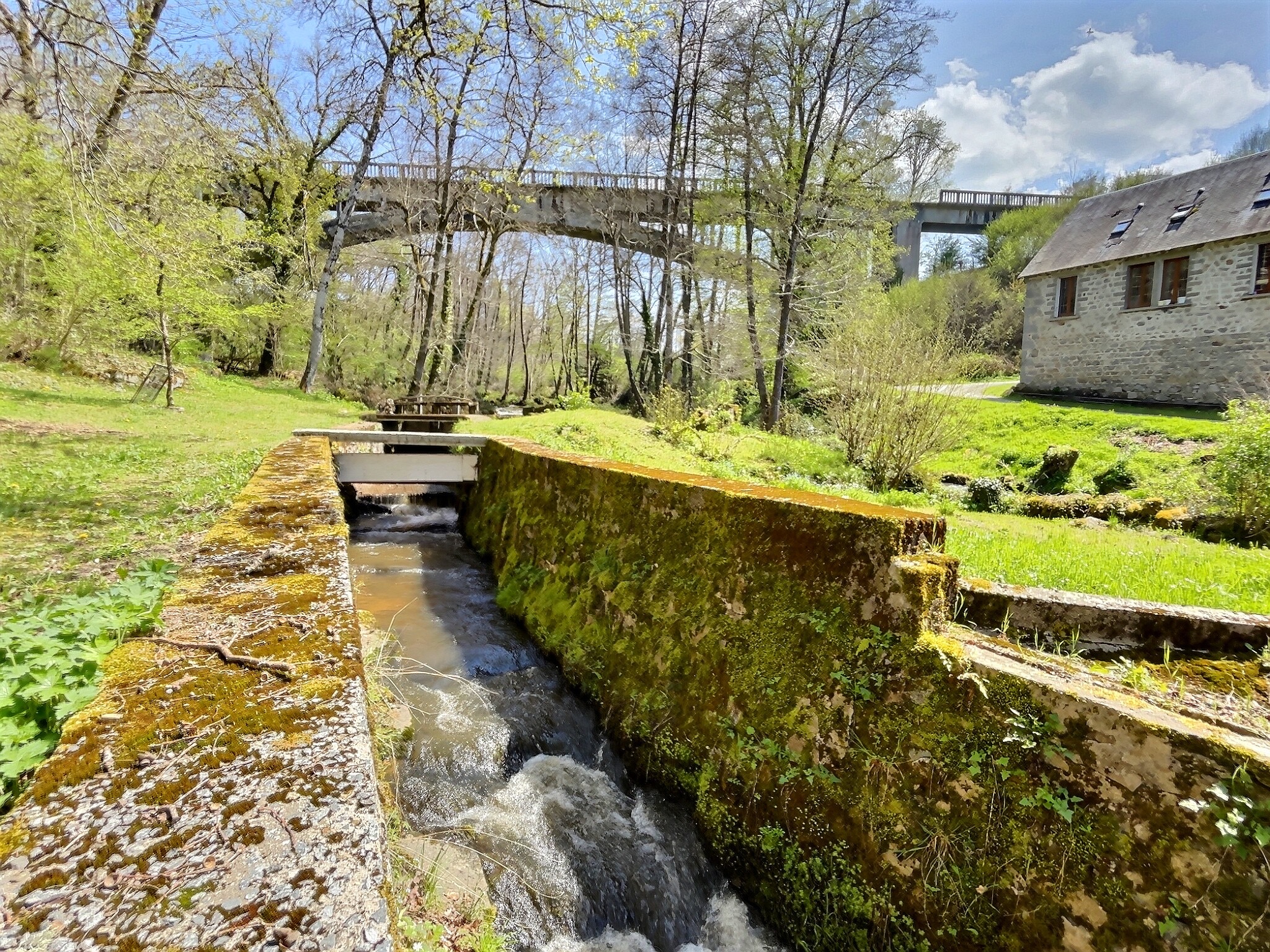 Le Moulin de Lascaux - Camping Accueil Paysan, Saint-Georges-Nigremont - photo 5
