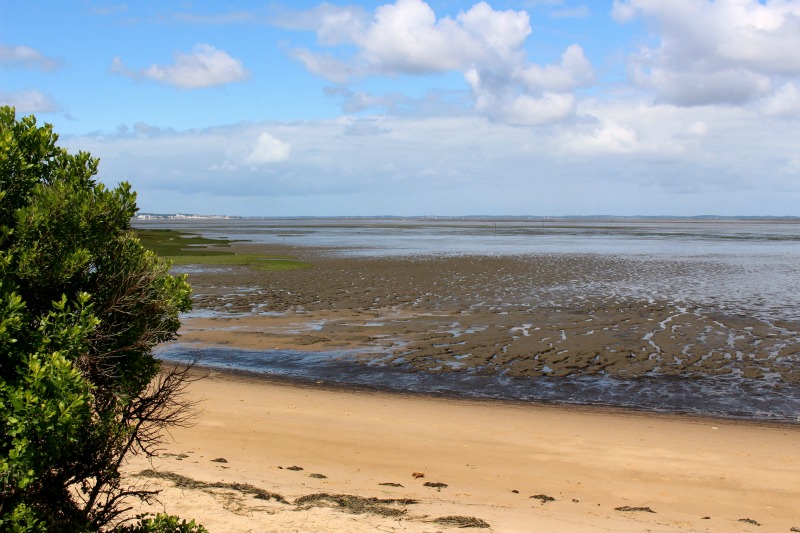Au Teich, comme un oiseau sur le sentier du littoral - photo 4
