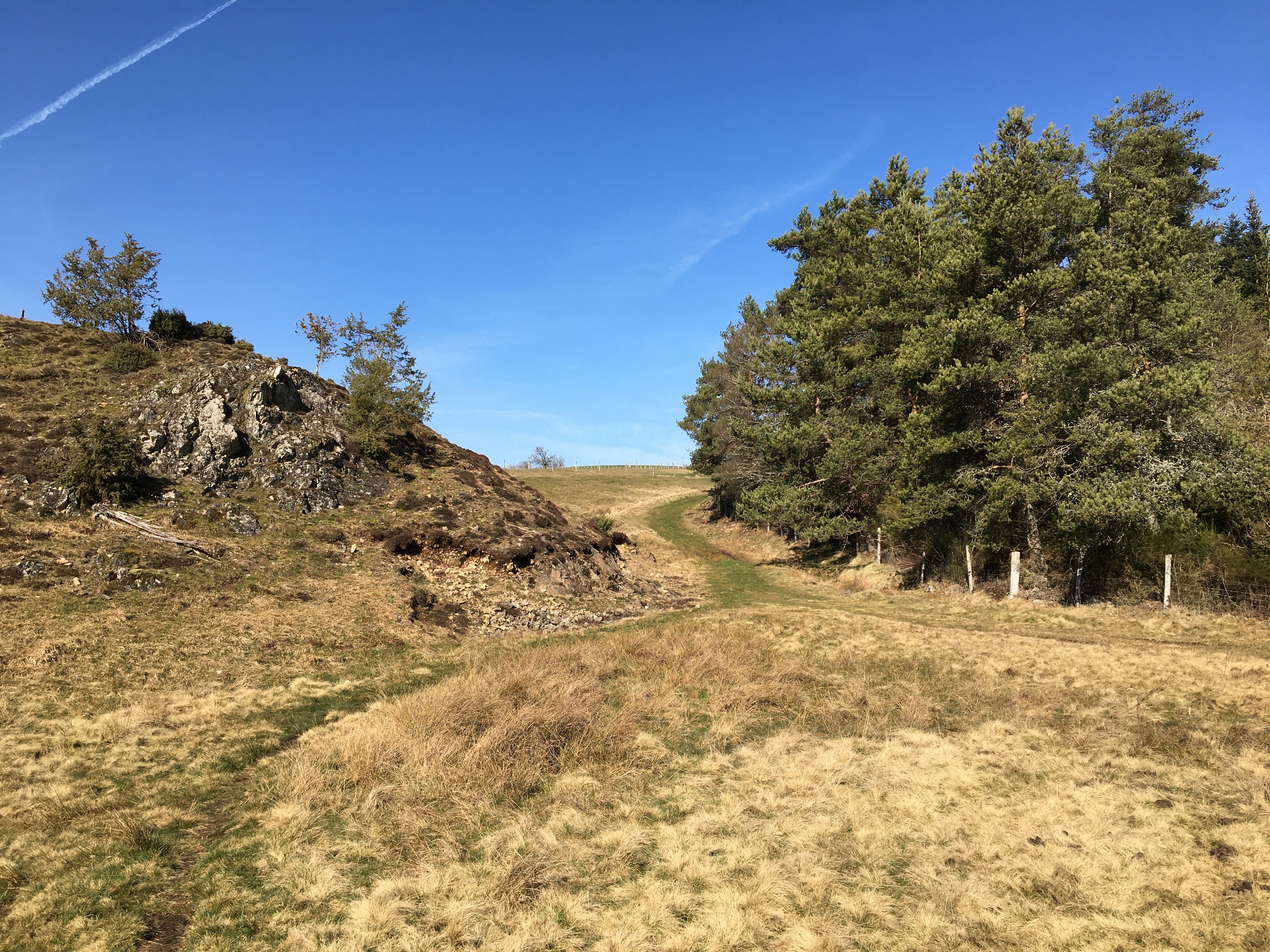 VTT - La Méouzette - 11 km - circuit 64, Laroche-près-Feyt - photo 4