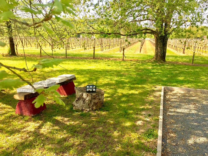 La Carreterie - Maison de Famille(s), Pineuilh - photo 24