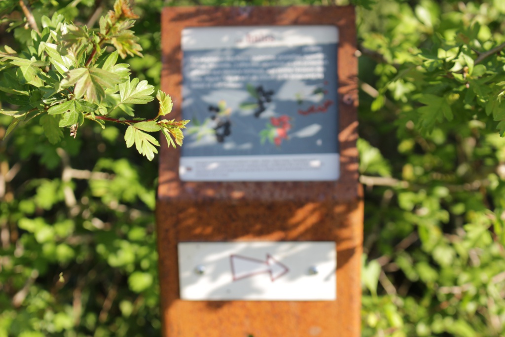 Parcours ‘Les Bâtisseurs du Dropt’ - le sentier long — photo 3