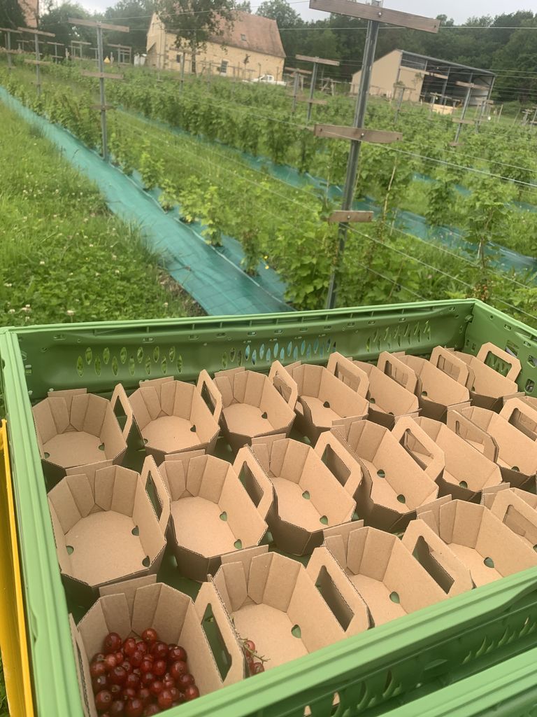 Les jardins du Sireygeol - photo 5