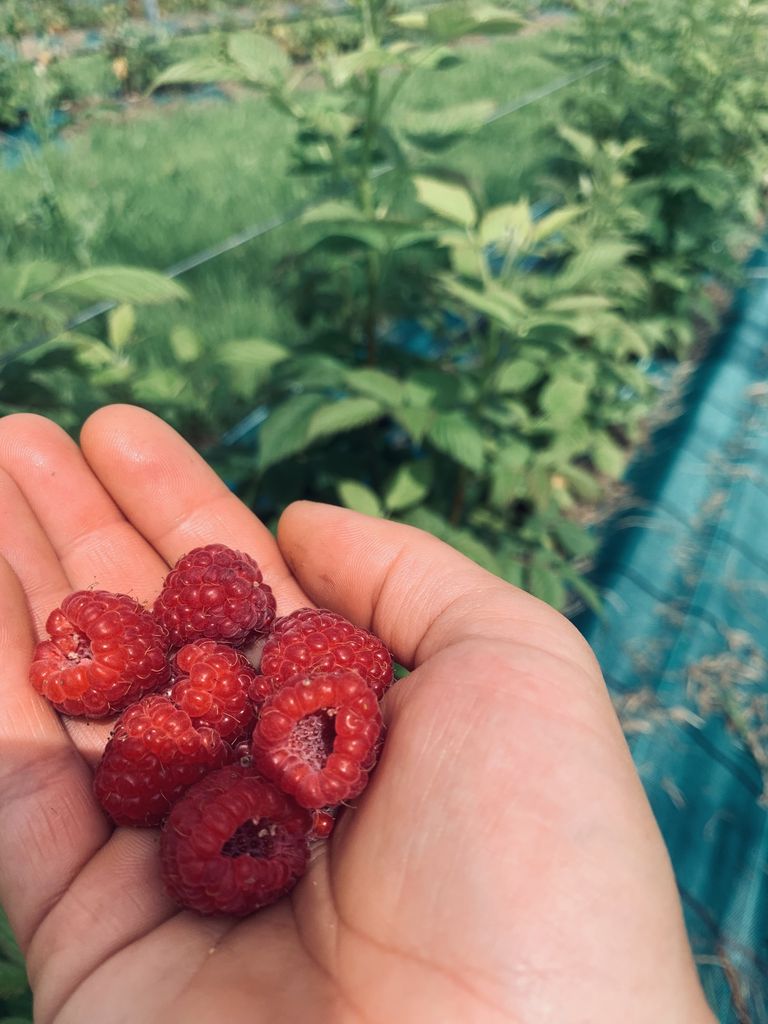 Les jardins du Sireygeol - photo 3