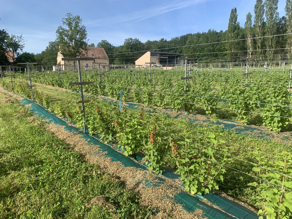 Les jardins du Sireygeol