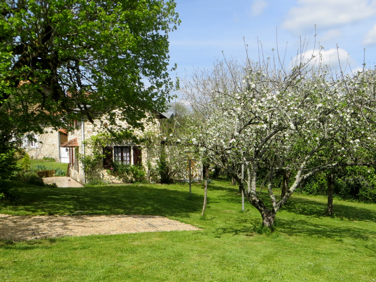 La Borderie, Maisonnais-sur-Tardoire - photo 3