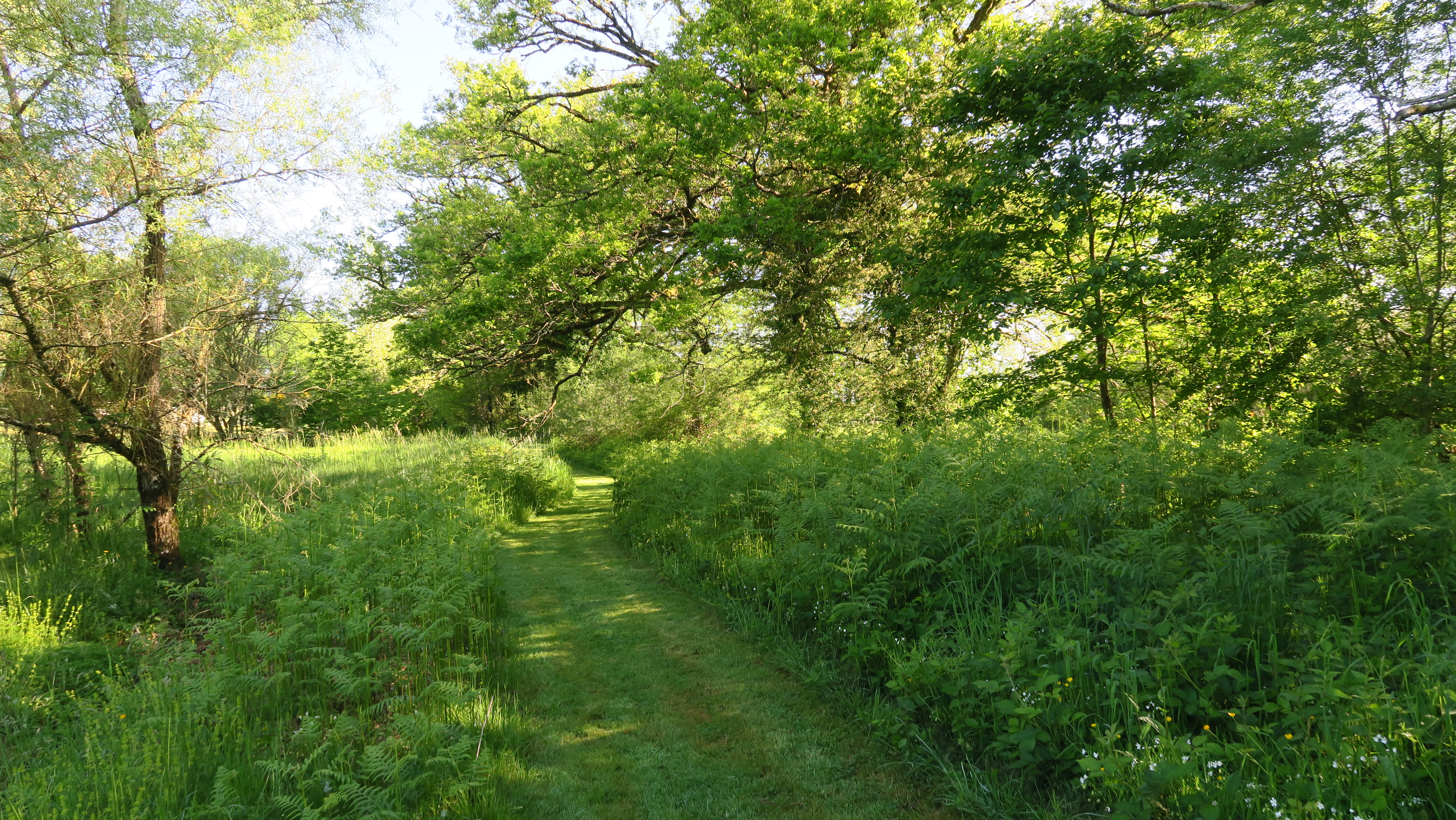 Sérénité Verte à la Tuilerie, La Bazeuge - photo 12
