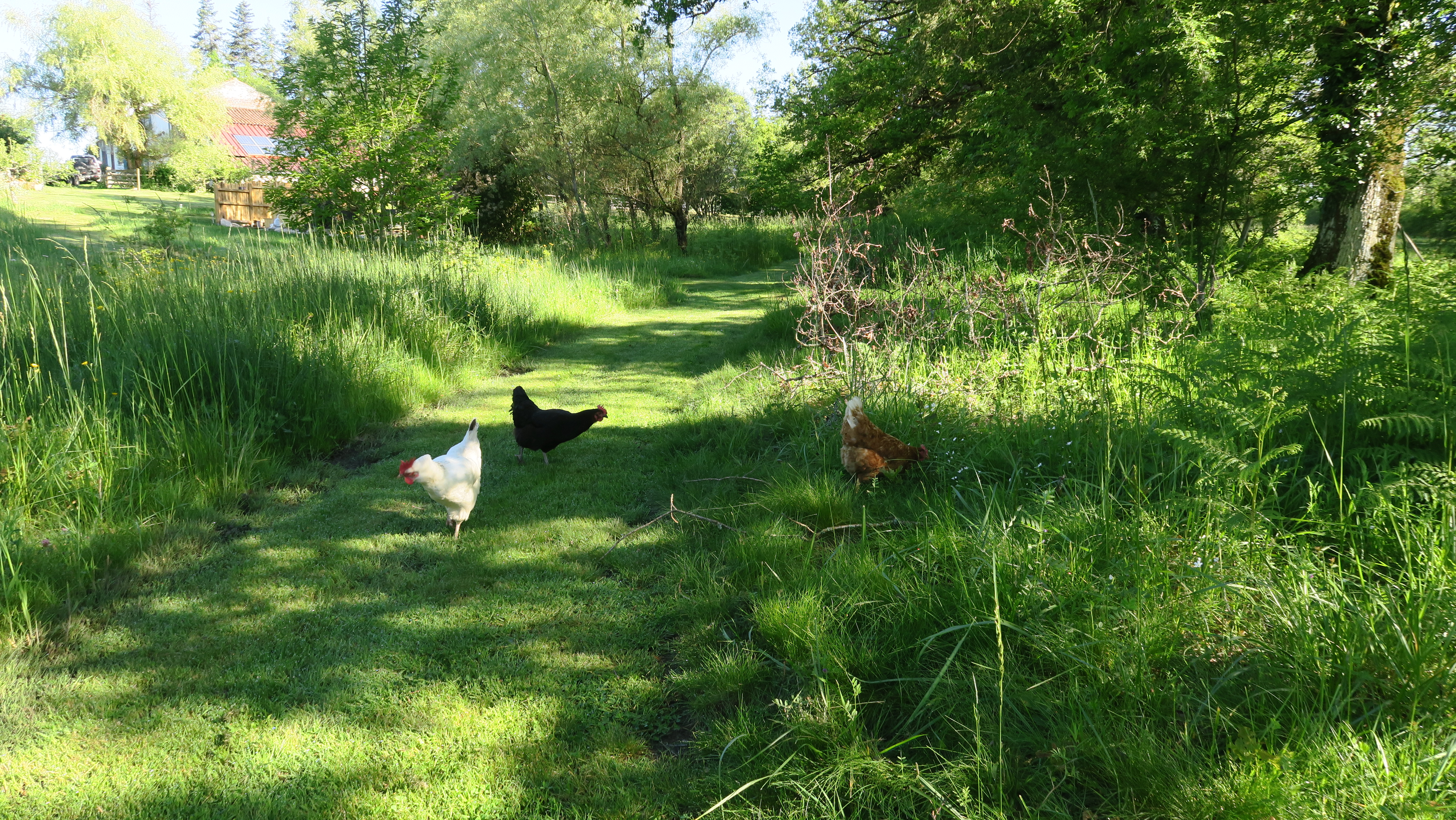 Sérénité Verte à la Tuilerie, La Bazeuge - photo 2