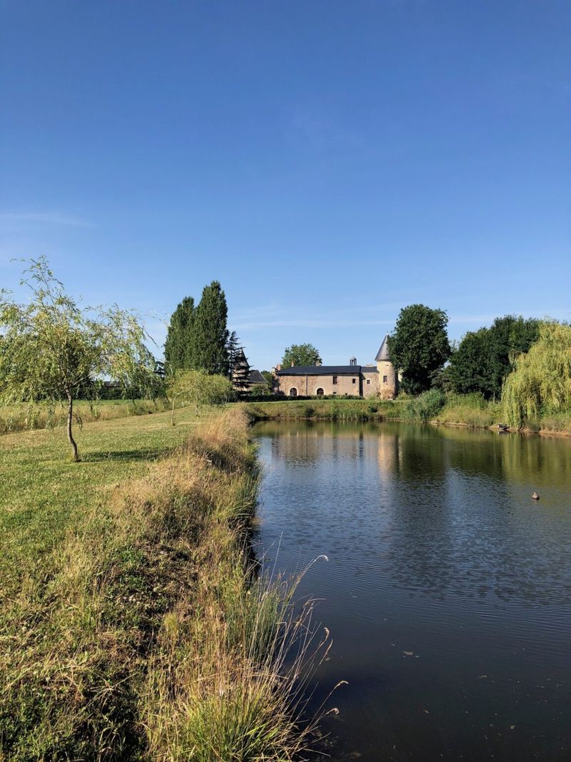 Château de Bournizeau, Pierrefitte - photo 9