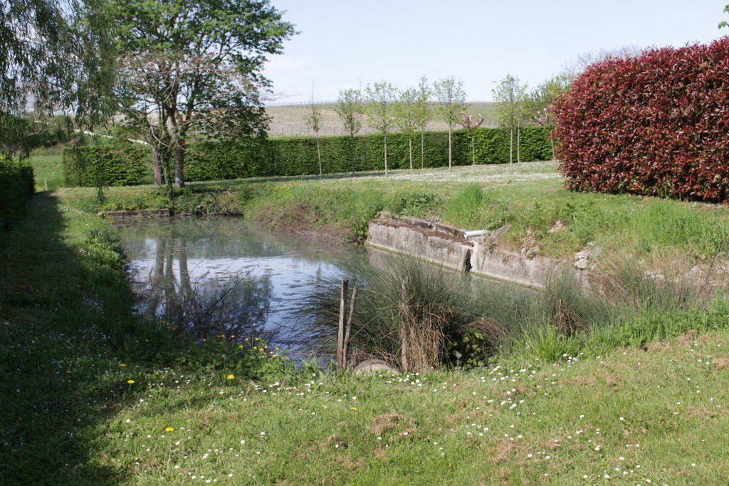 Pêcher à l'Etang Lescouroroux à Eymet - Boucle de Saint Julien d'Eymet, Saint-Julien-Innocence-Eulalie - photo 3