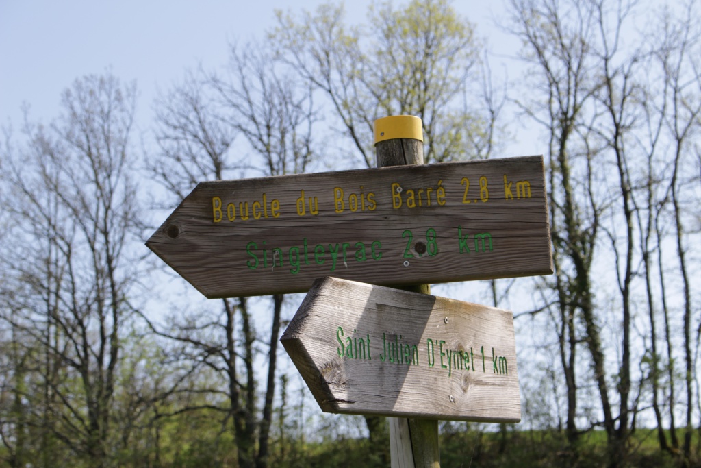 Boucle du Bois Barré - Singleyrac