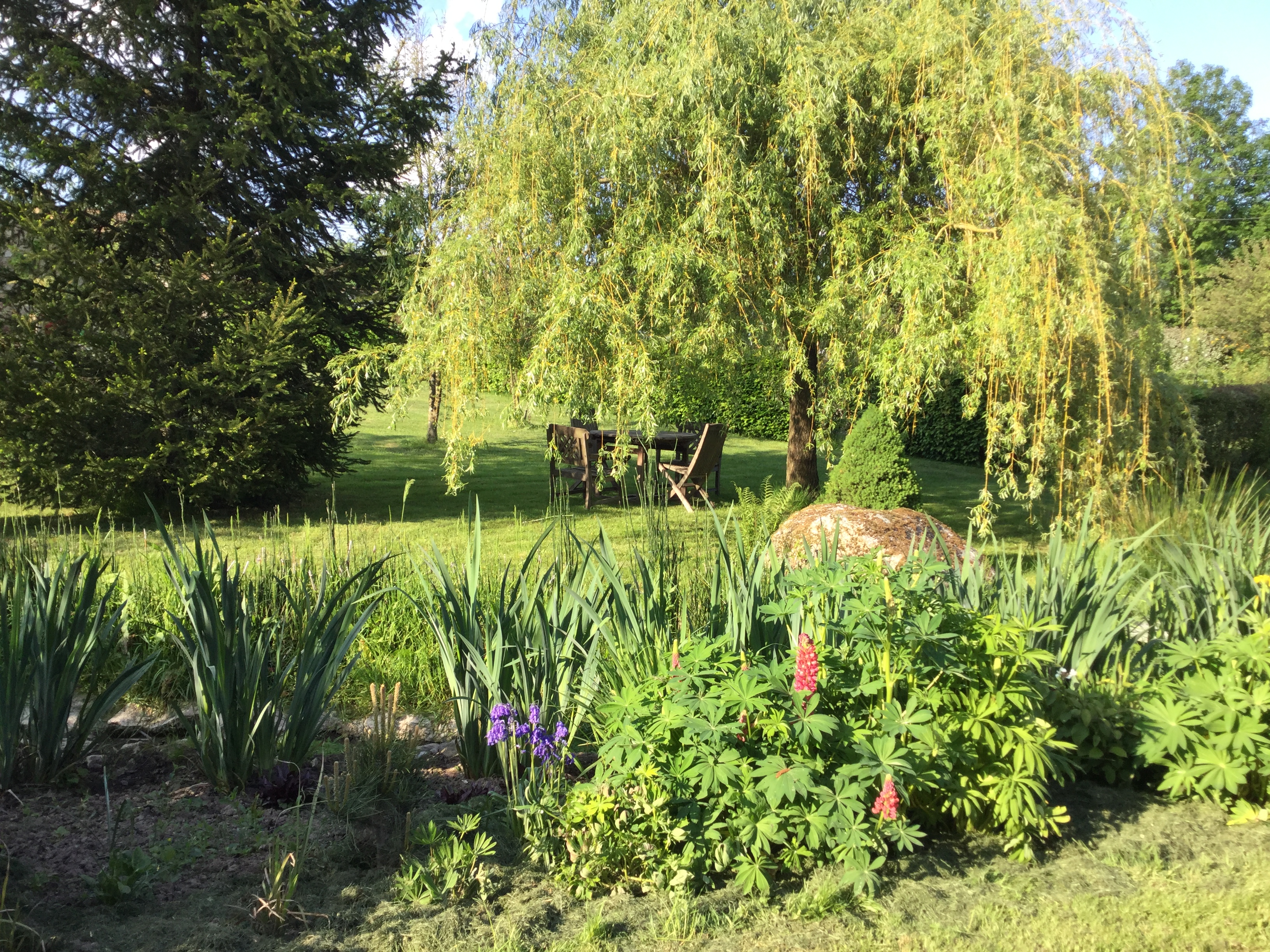 Les épis du vent, Adilly - photo 6
