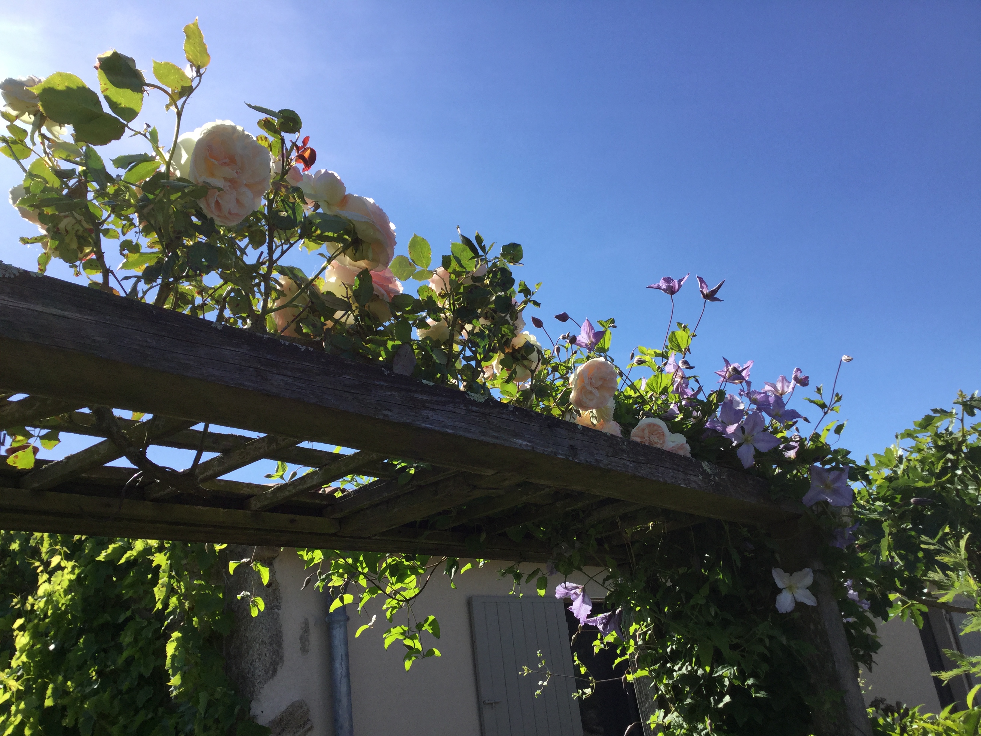 Les épis du vent, Adilly - photo 28