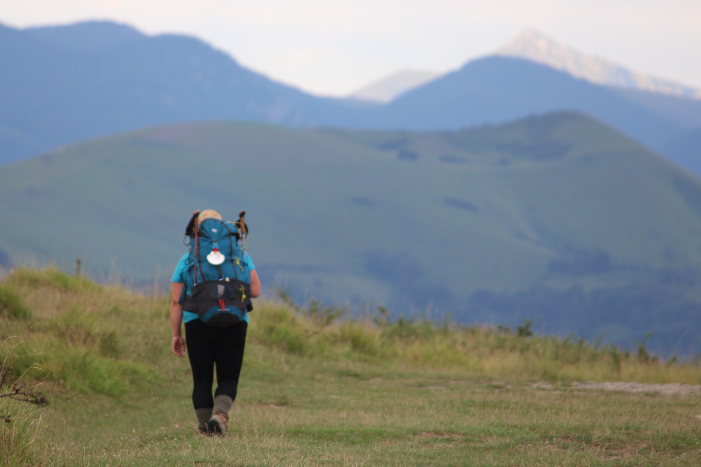 Randonnée accompagnée CAPB "Haranbeltz et Soihartze - Sur les chemins de Compostelle", Orsanco - photo 4