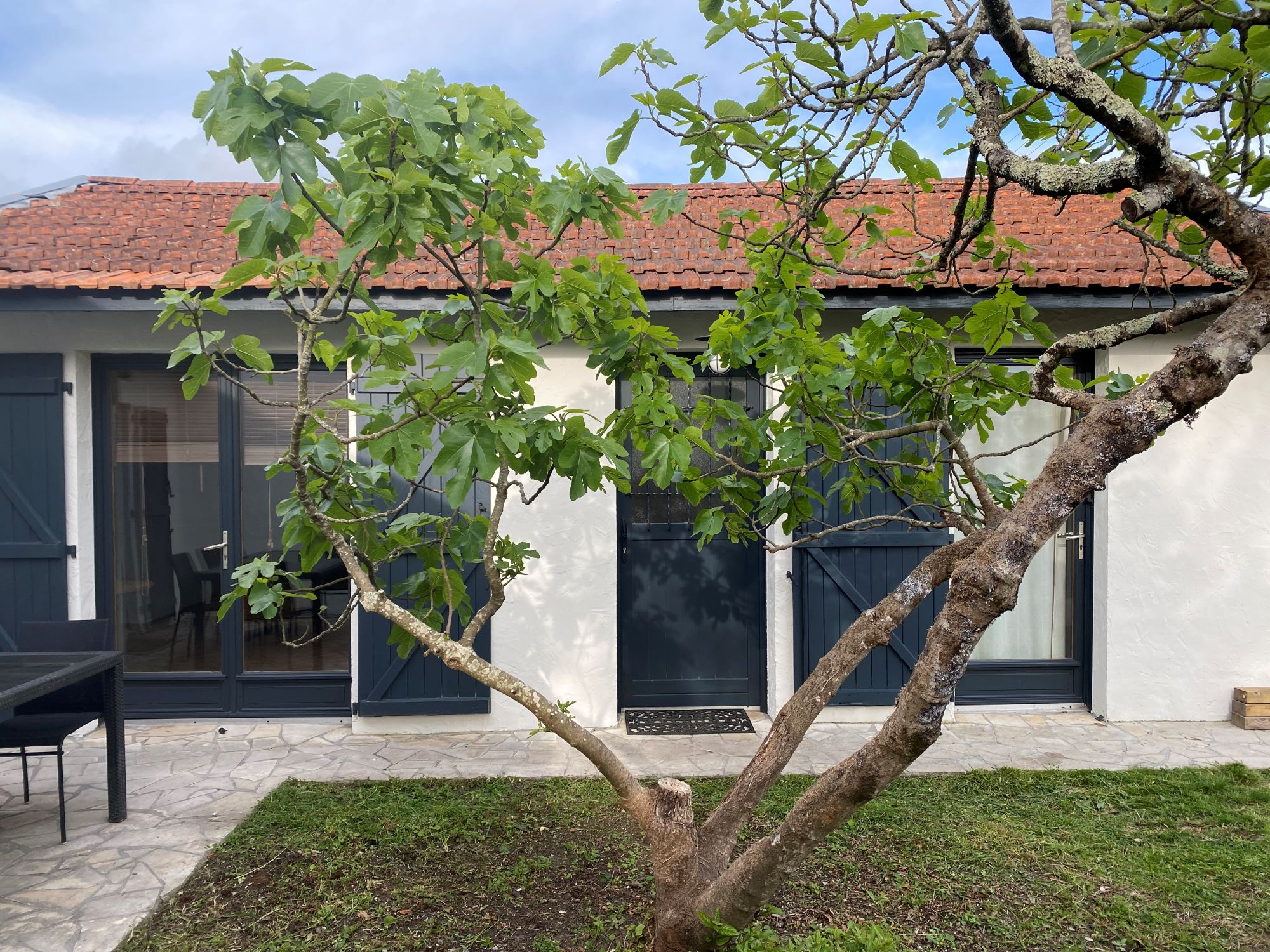 Villa Le Figuier, La Teste-de-Buch - photo 16