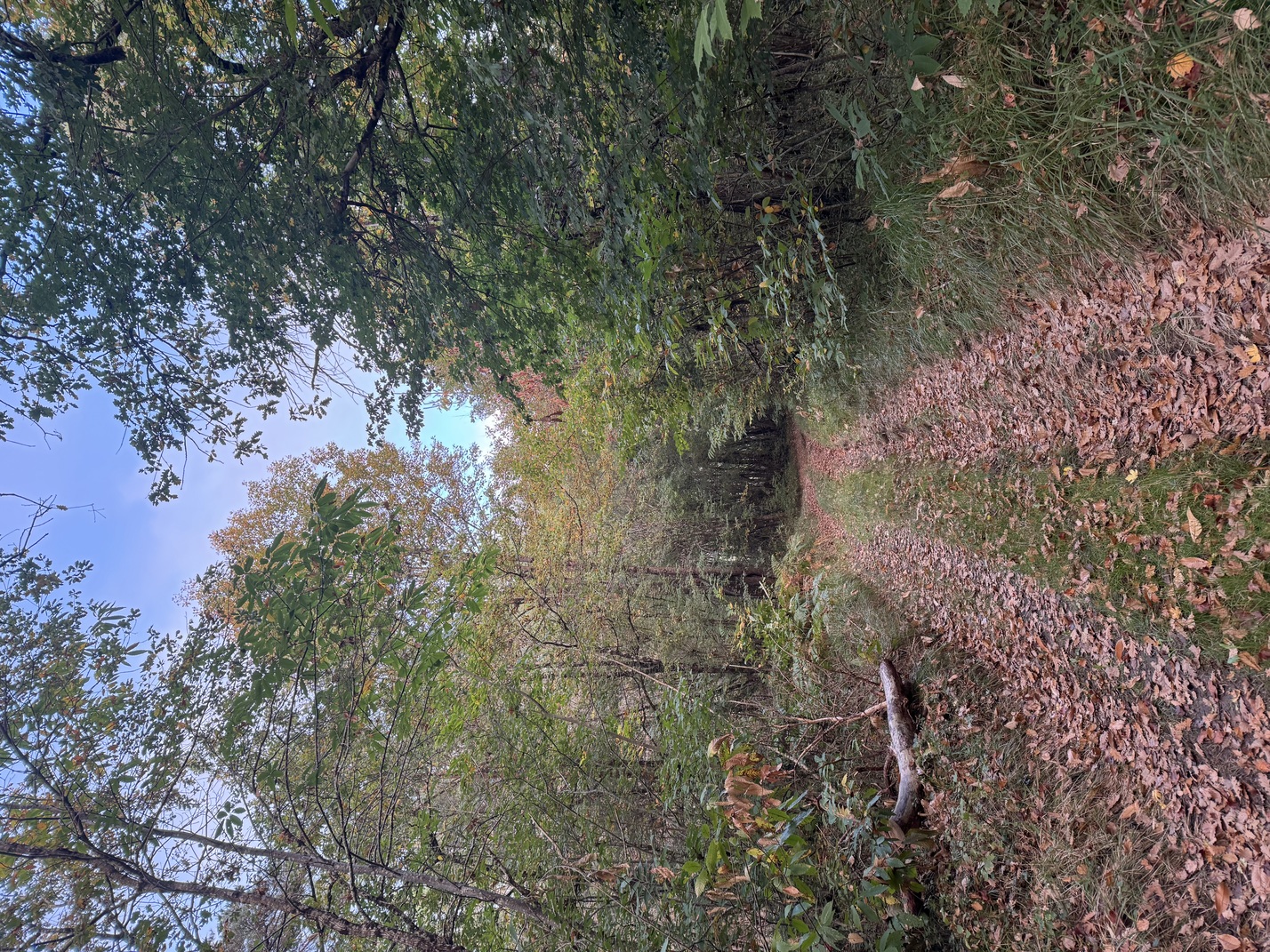 La Trans-mairéenne, Mairé - photo 2