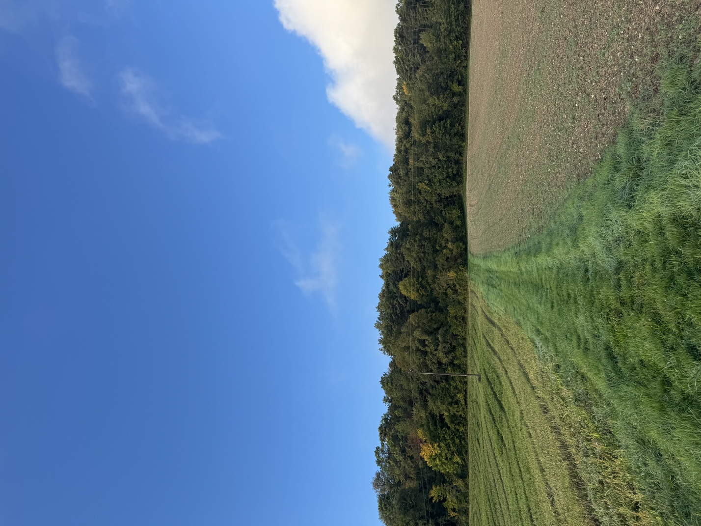 La Trans-mairéenne, Mairé