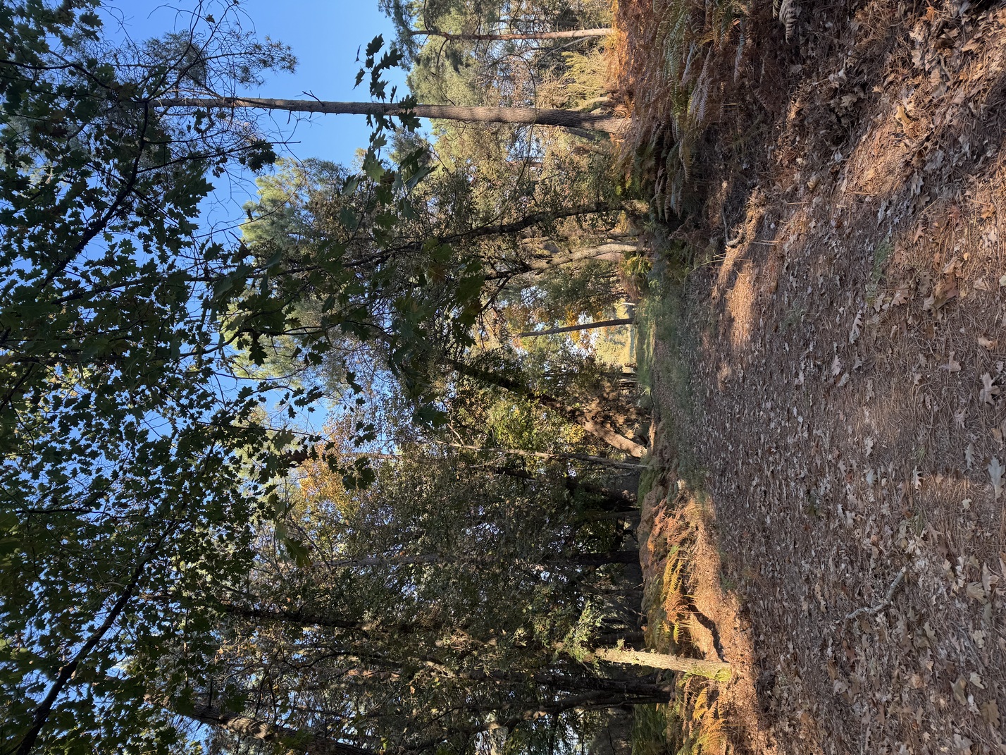 La Trans-mairéenne, Mairé - photo 3