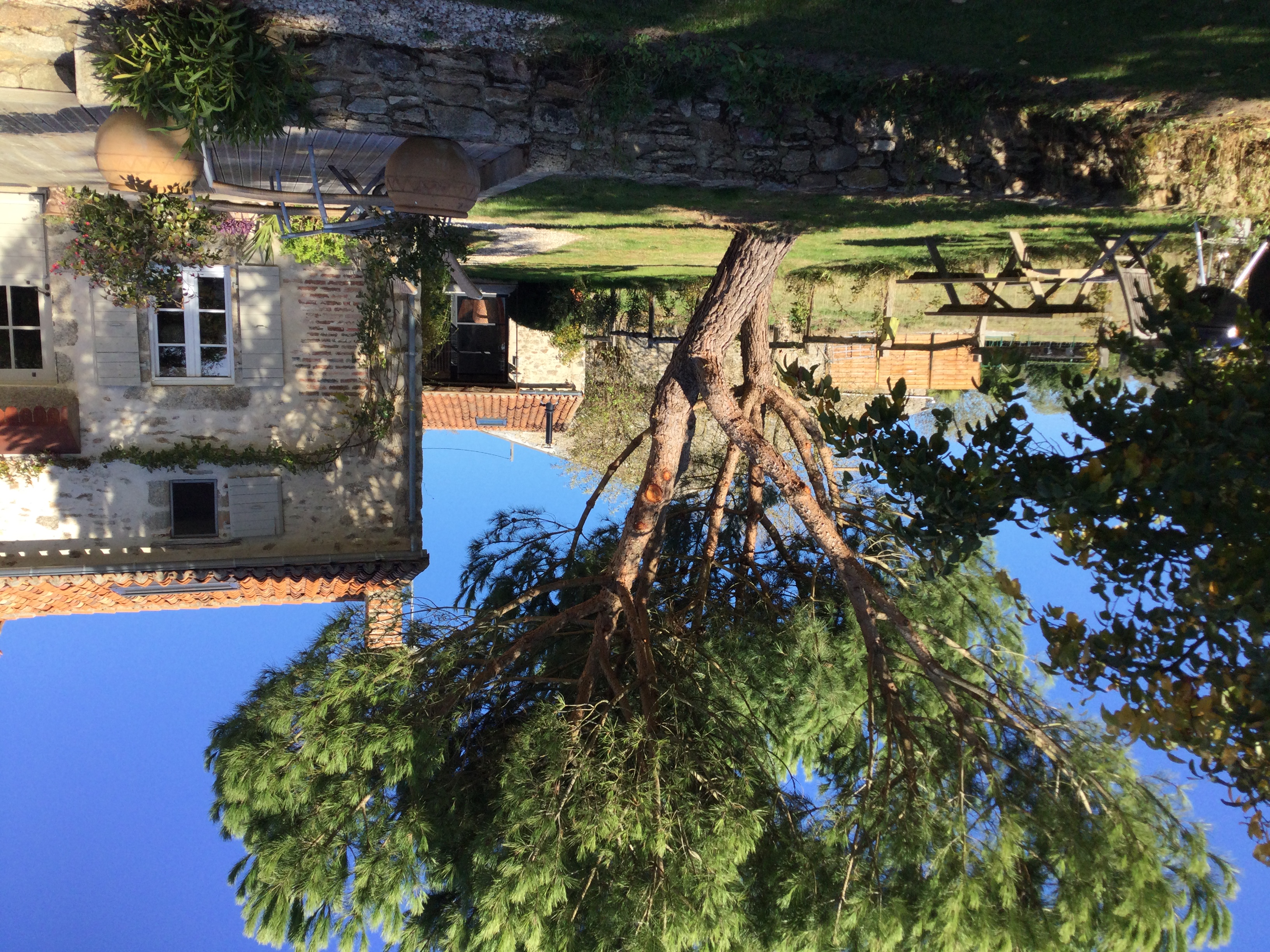 Les épis du vent, Adilly - photo 33