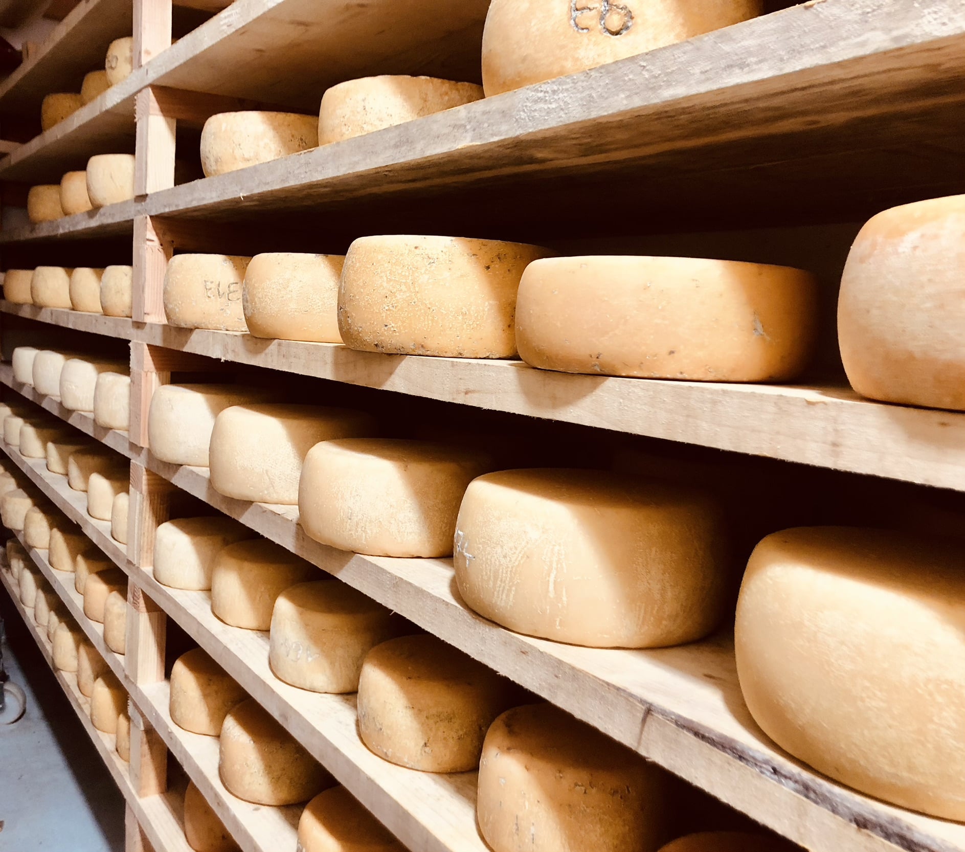 La Ferme de Ventadour - photo 3