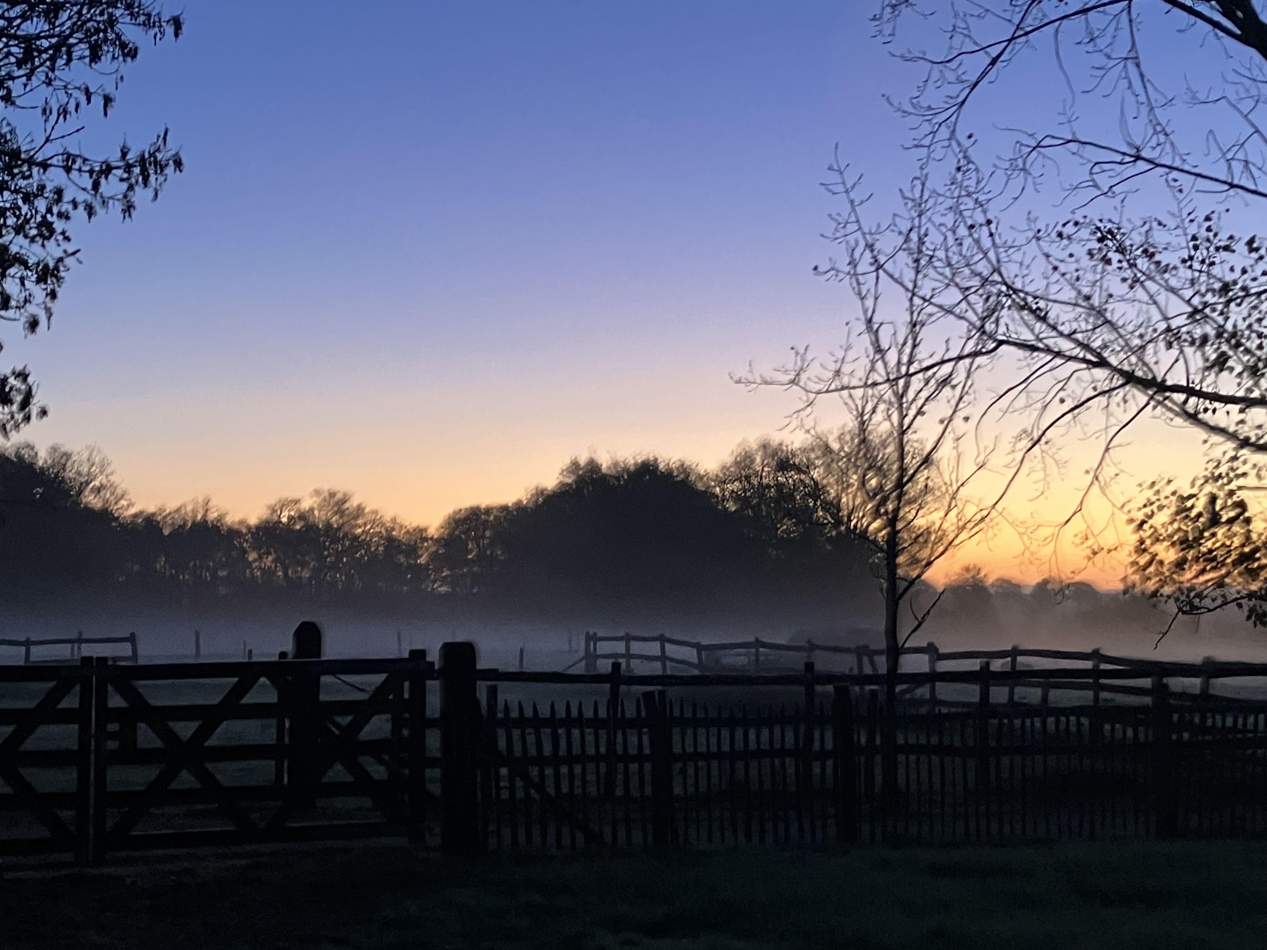 Le Maverick, Mauprévoir