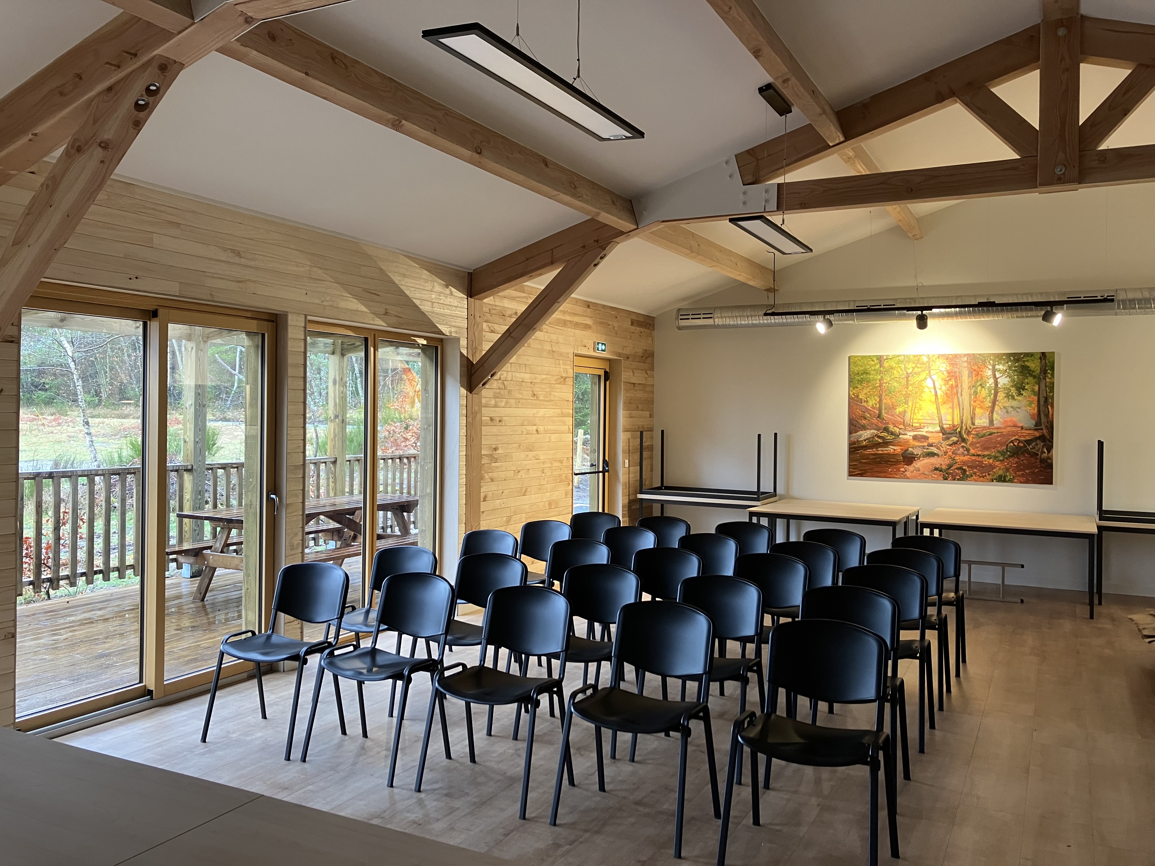 Hêtre en forêt, Nedde - photo 5