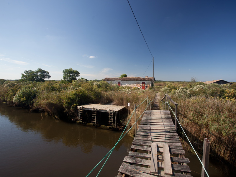 Ile de Malprat, Biganos - photo 3