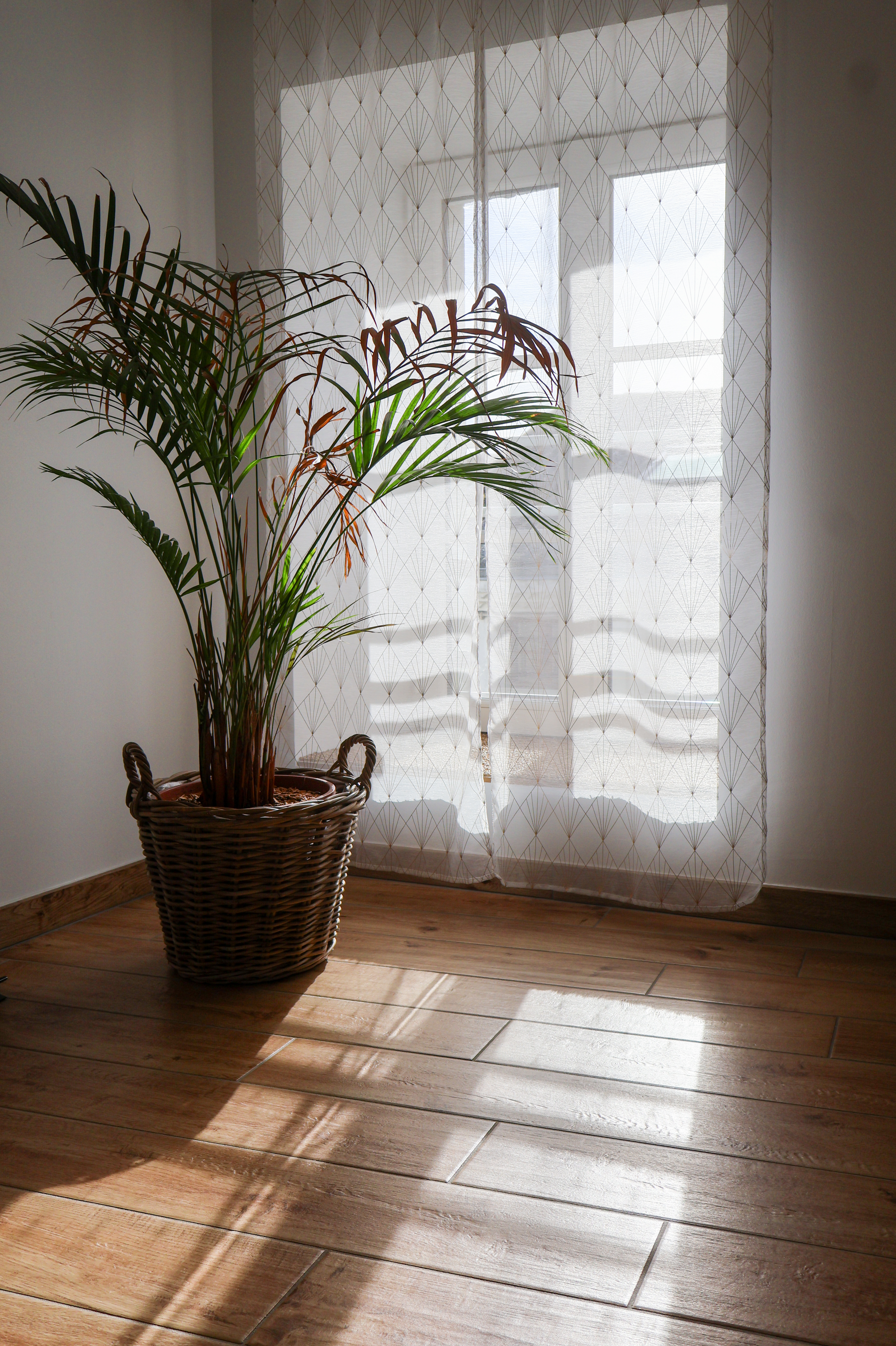 Maison Malo Leone, Mauléon - photo 25