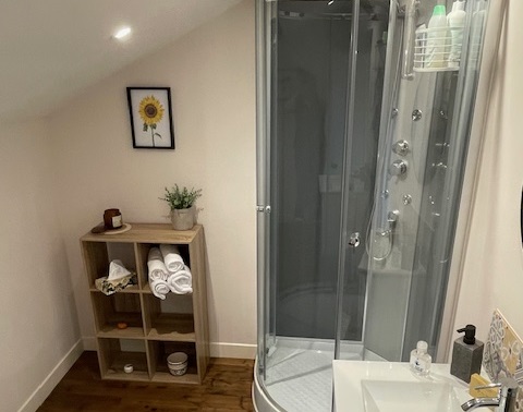 Sunflower, Le Dorat - photo 5