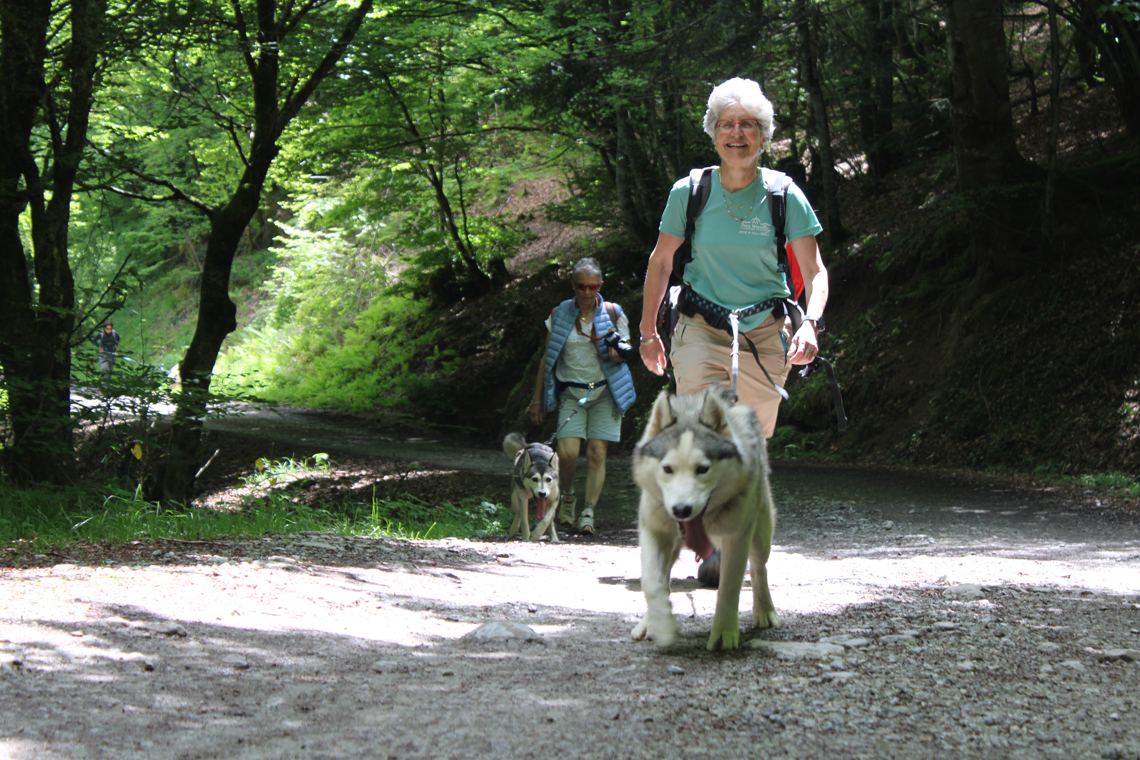 Randonner avec un chien nordique à Oloron Sainte-Marie, Oloron-Sainte-Marie - photo 4