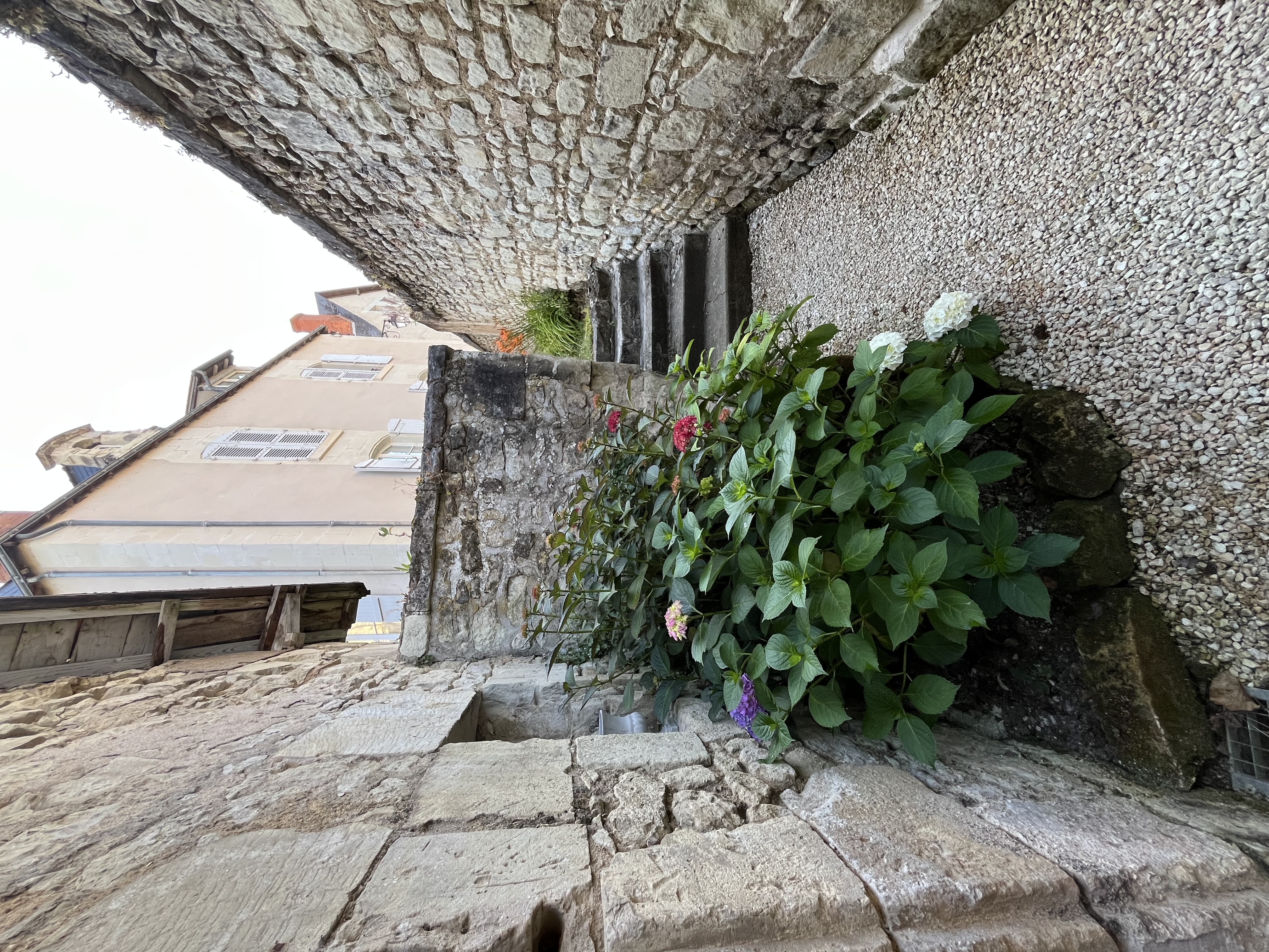Appartement Jaune — photo 2