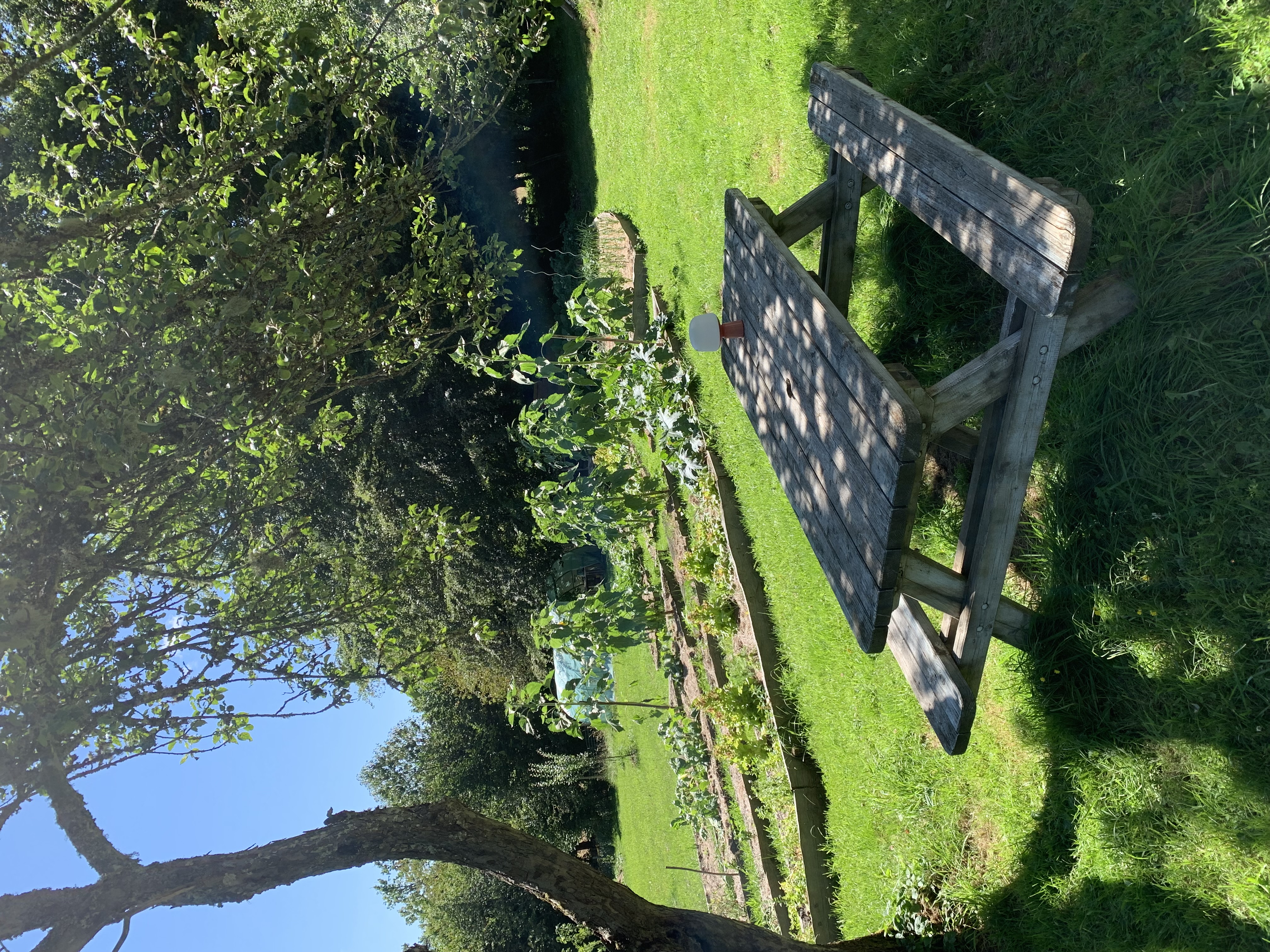 Gîte d'étape l'Insolite, Saint-Merd-les-Oussines - photo 9