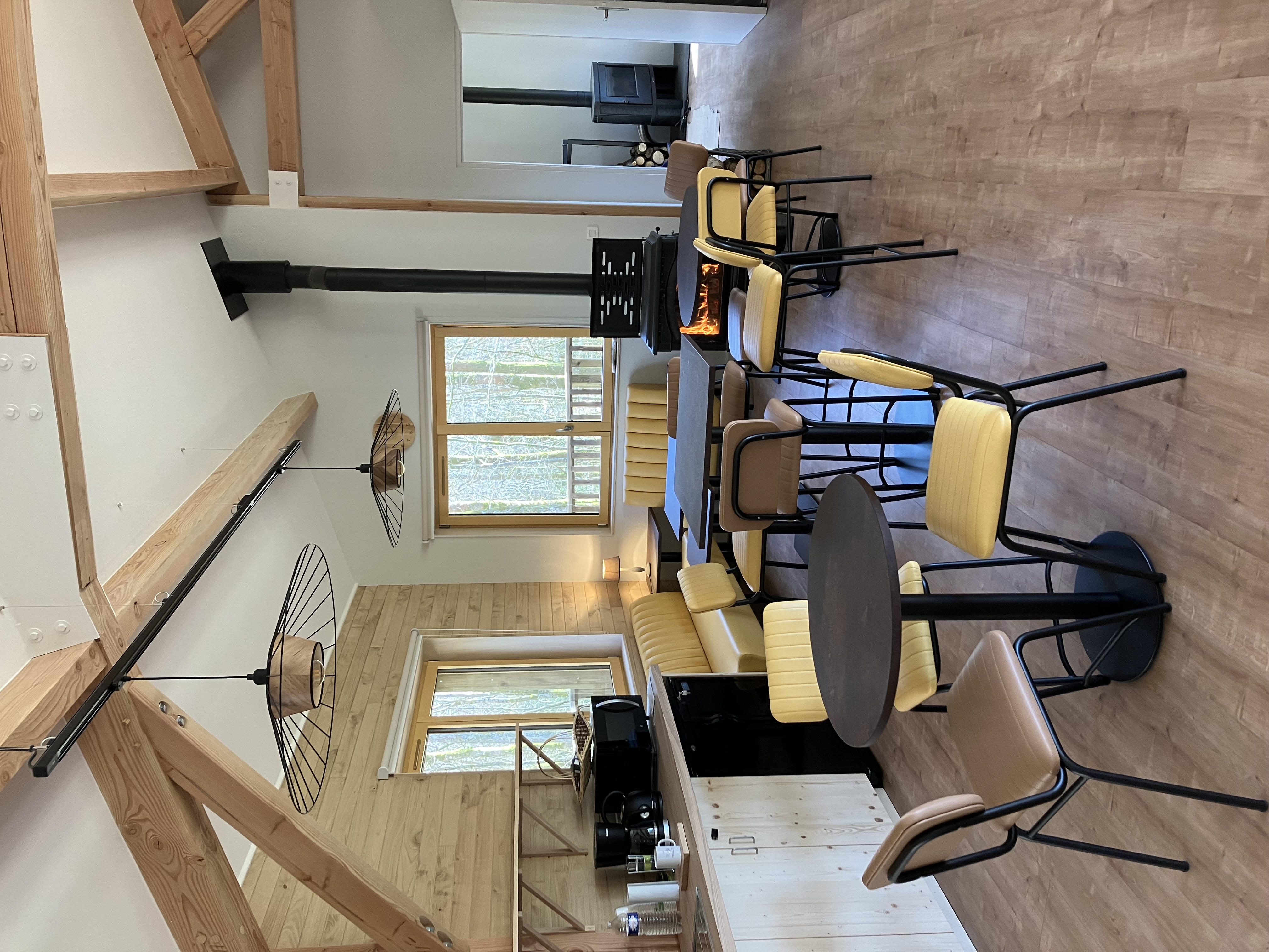 Hêtre en forêt, Nedde