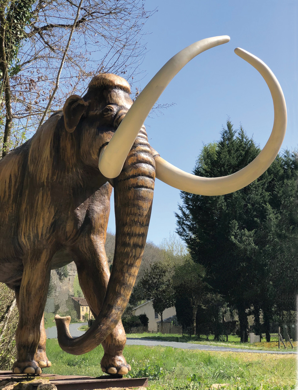 Les Grottes du Roc de Cazelle, Les Eyzies - photo 6