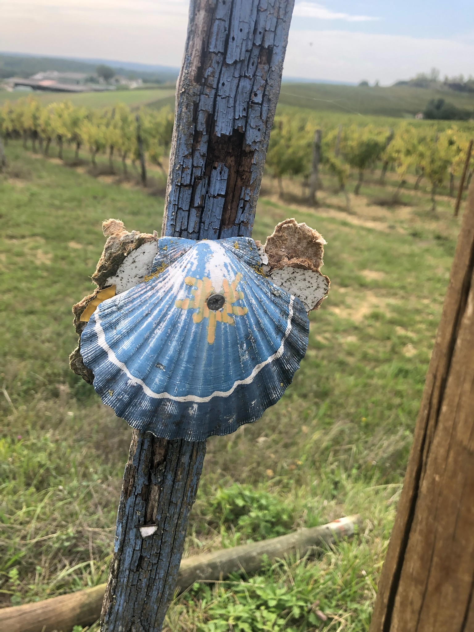 La Carderie, La Souterraine - photo 9