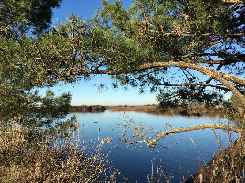 Christel Gomez - Voyage intérieur en pleine nature — photo 2