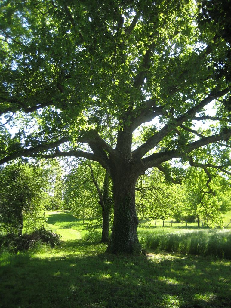 La Doublerie - photo 4