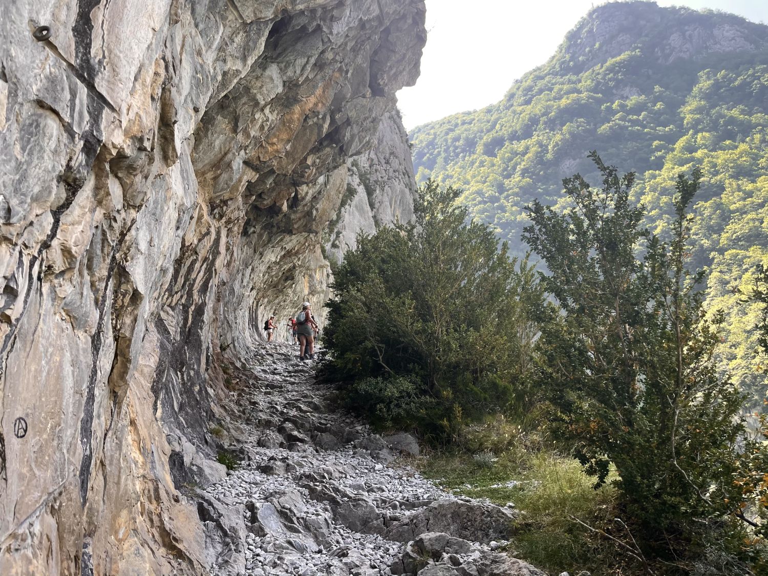 N°62 Chemin de la Mâture, Etsaut - photo 3