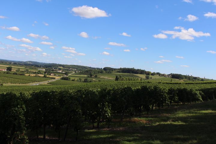 Château Fongrenier - photo 2