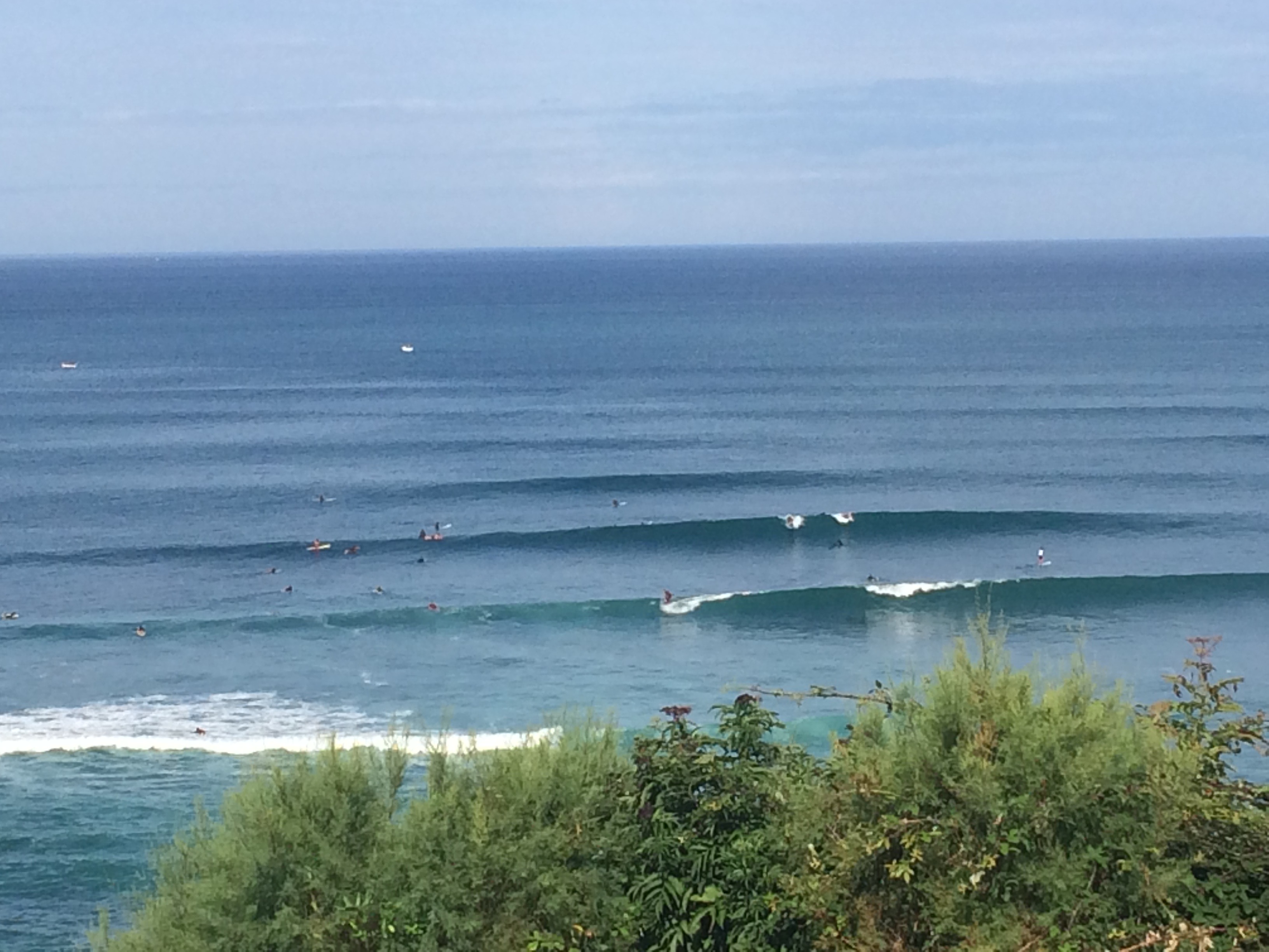 Monsieur Thierry LARRALDE, Bidart - photo 4