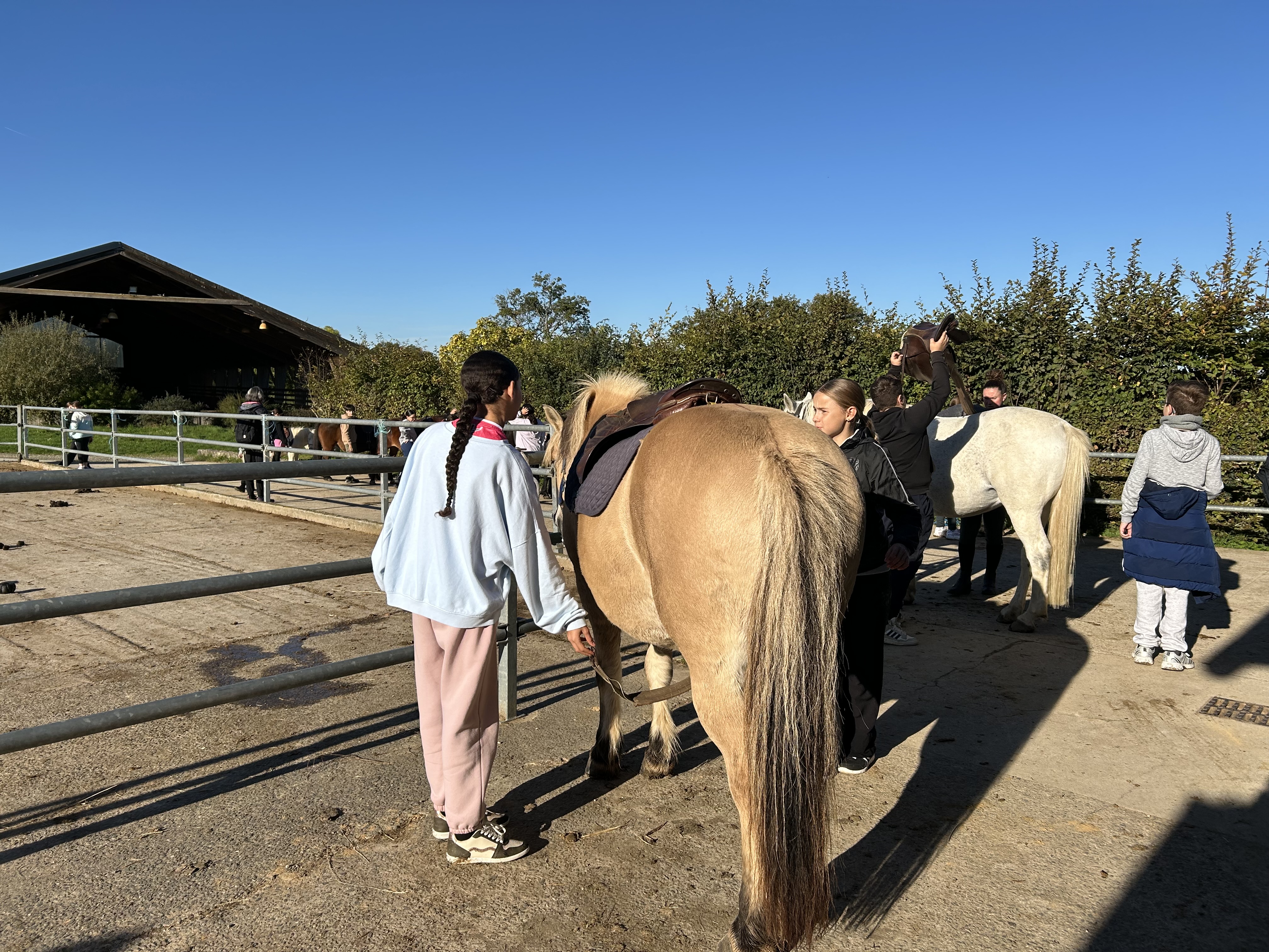 Équitation - CPA Lathus