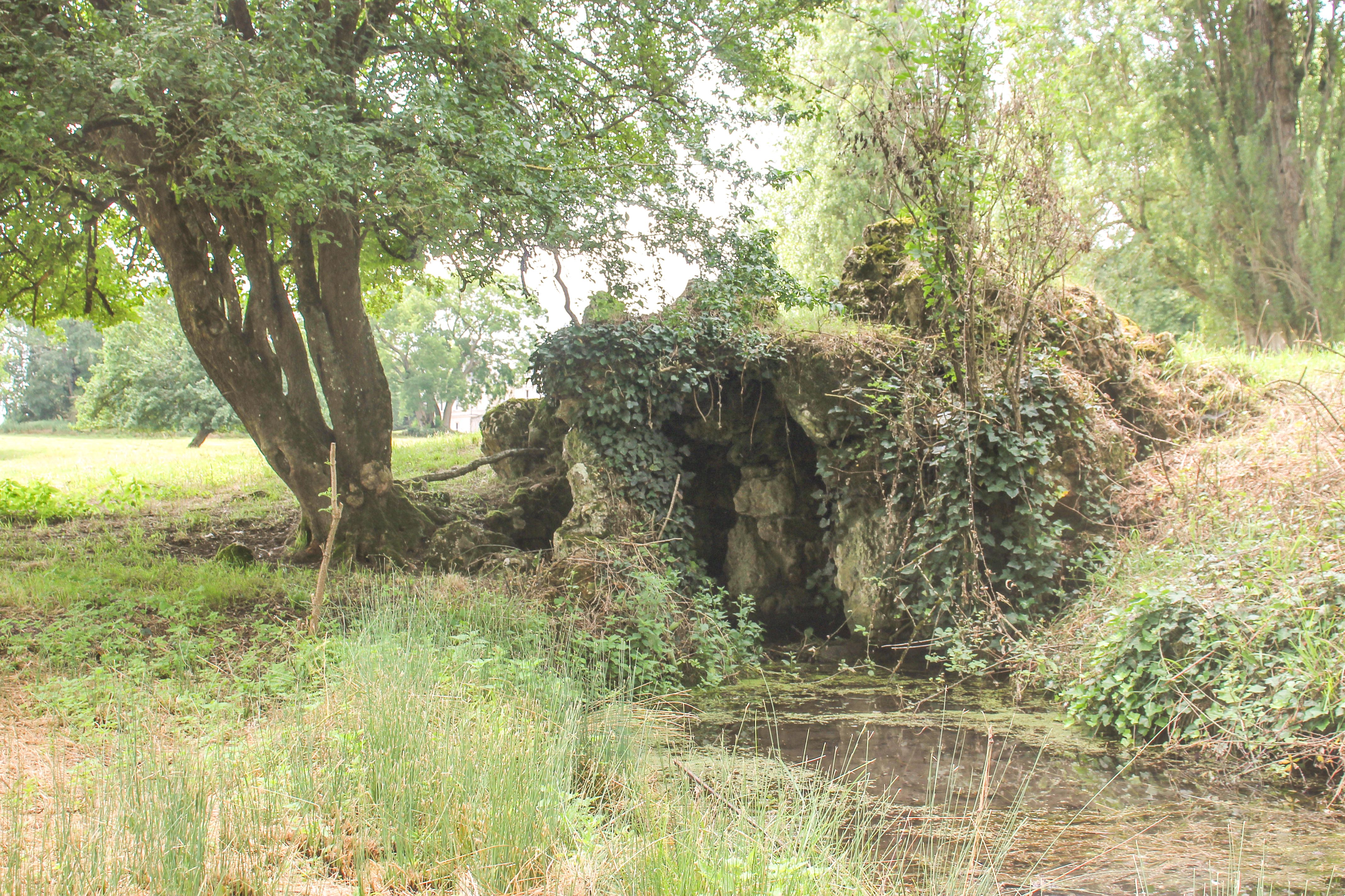 Maisonneuve, Leigné-les-Bois - photo 2