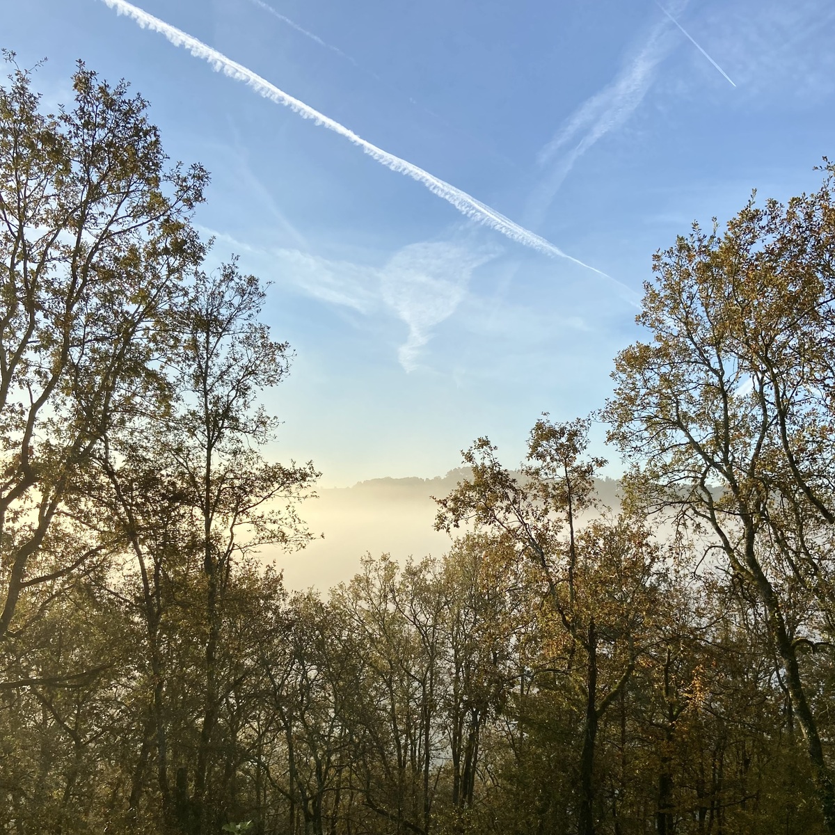 Maison d'hôtes Les Grands Chênes, Valojoulx - photo 19