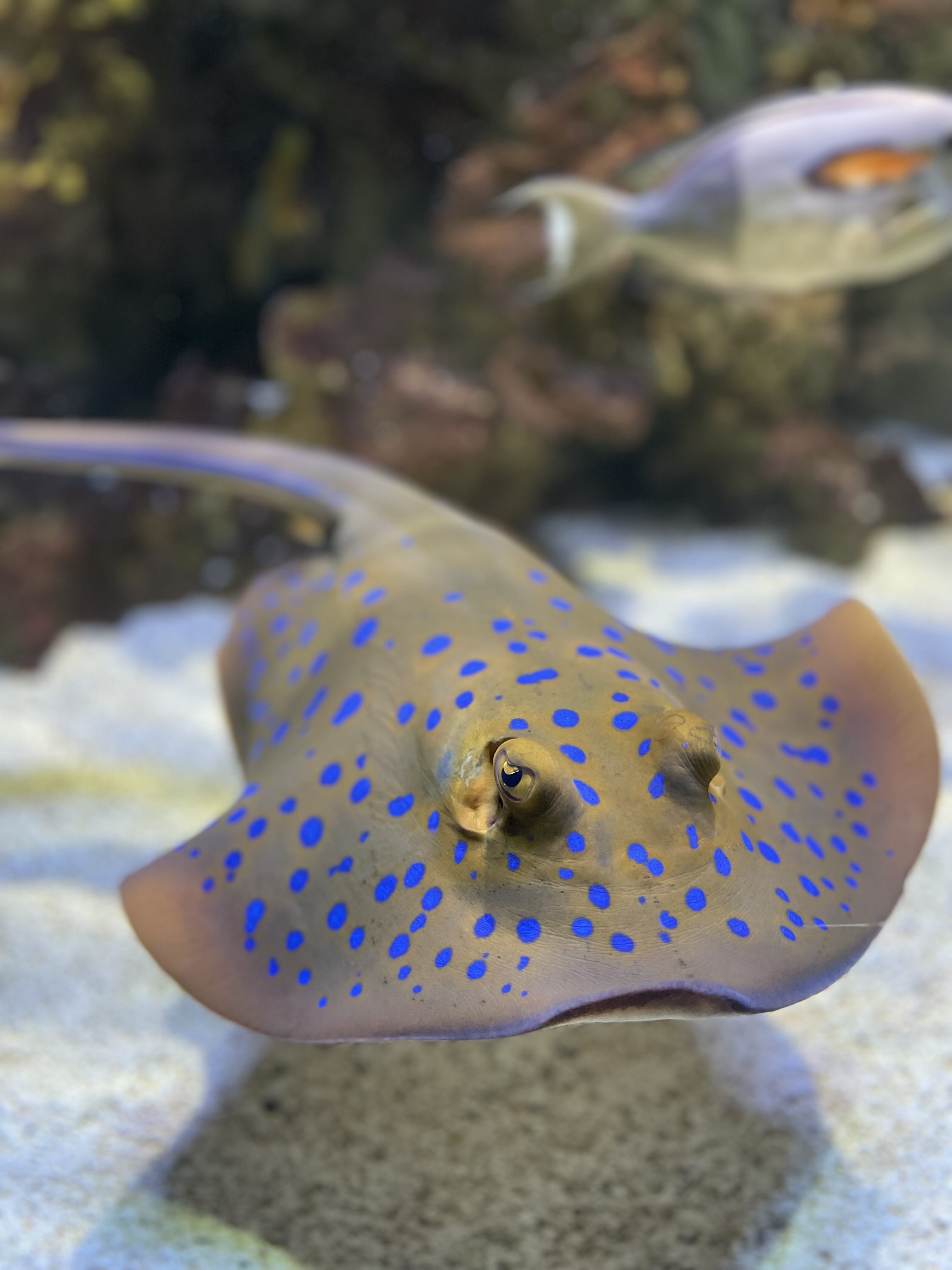 Aquarium du Limousin - photo 2