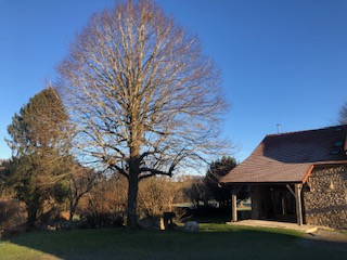 Gîte Boissieux, Châtelus-le-Marcheix - photo 4
