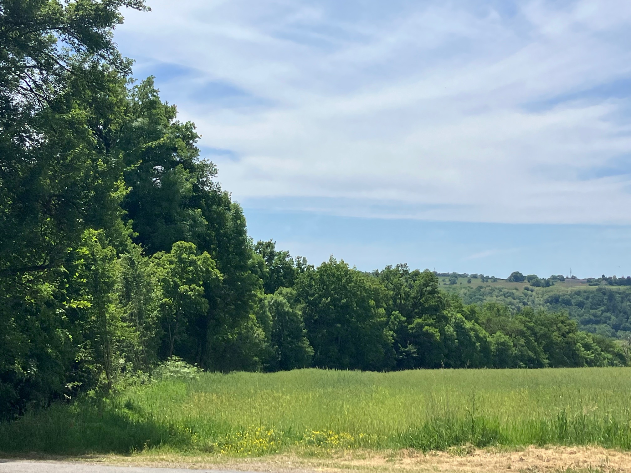 Boucle des hameaux, Condat-sur-Vienne