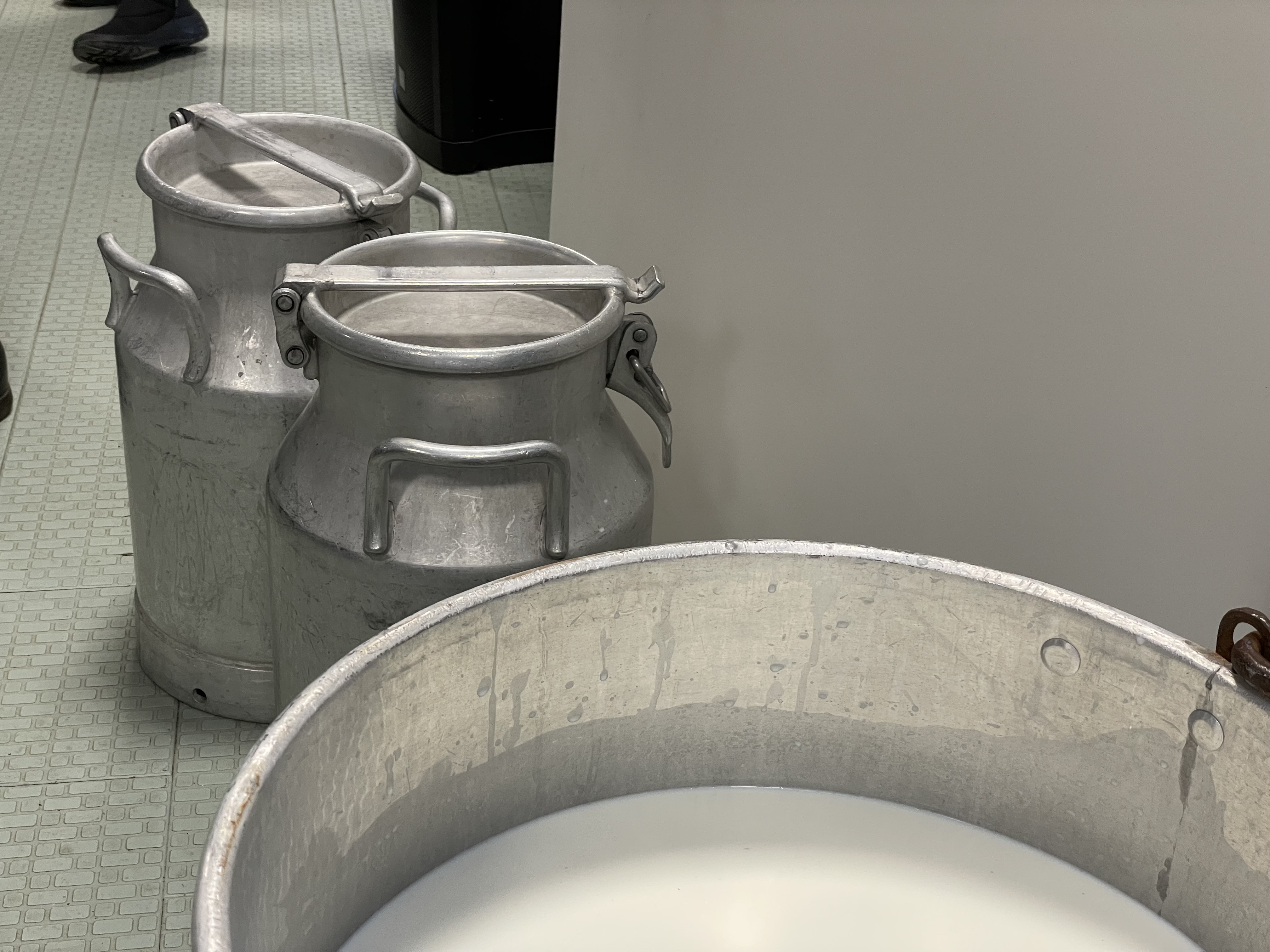 Démonstration de fabrication de fromage par un producteur - photo 2