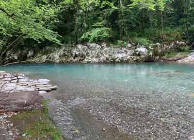 Balade botanique et repas 