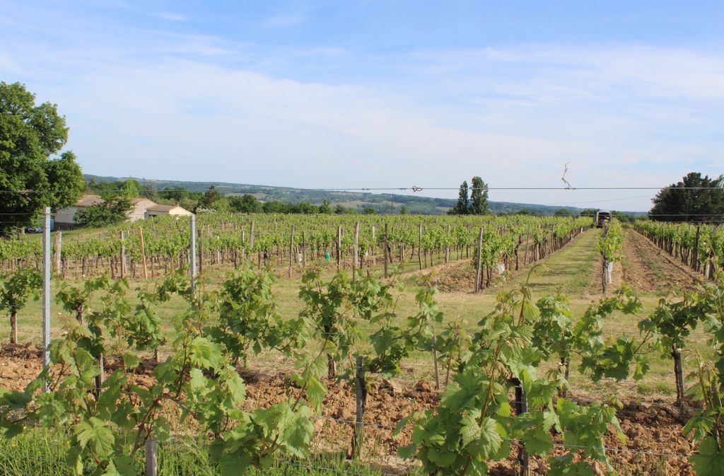 VIGNOBLES LAGARDE EARL