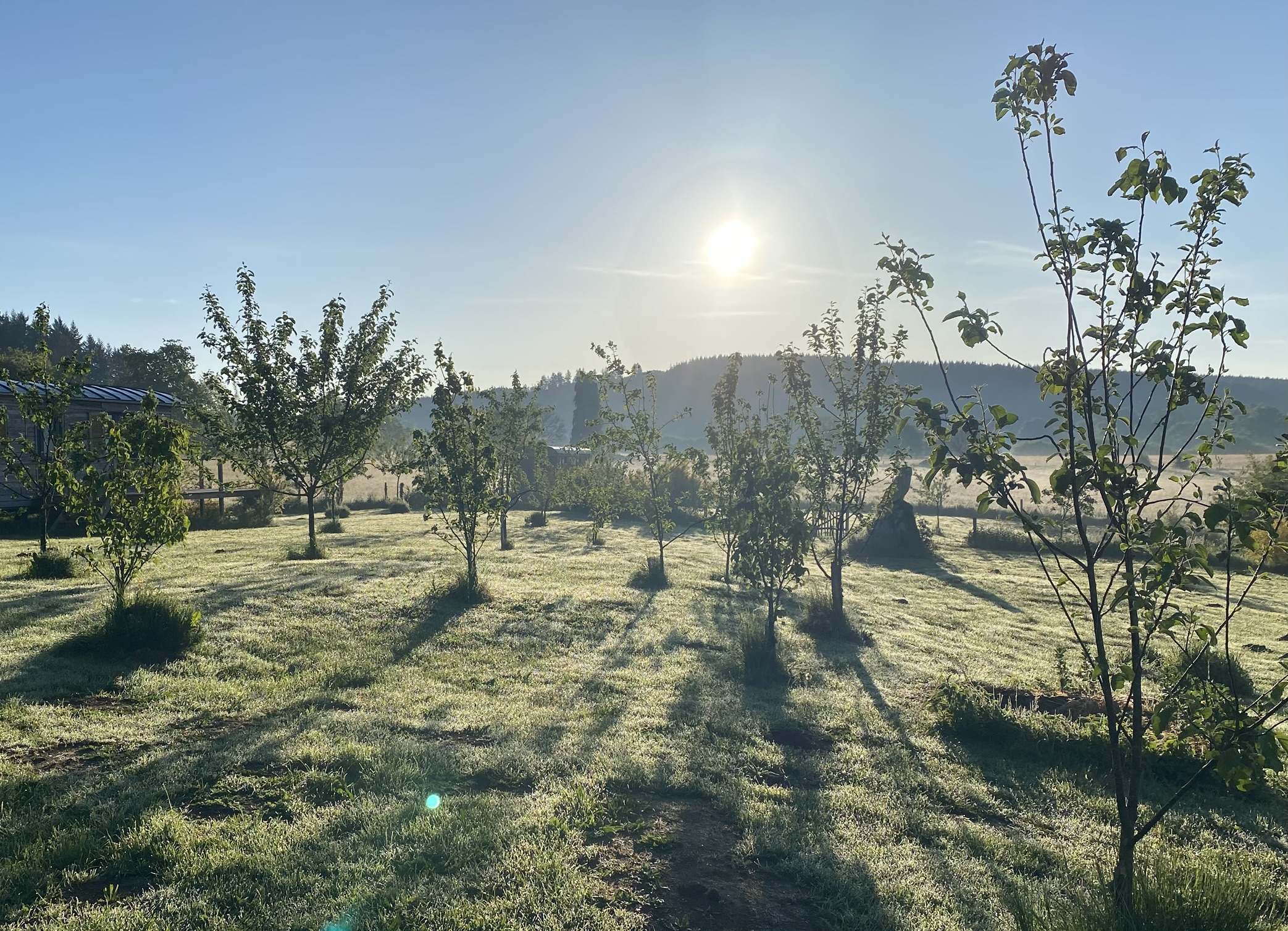 La roulotte du verger, Champnétery
